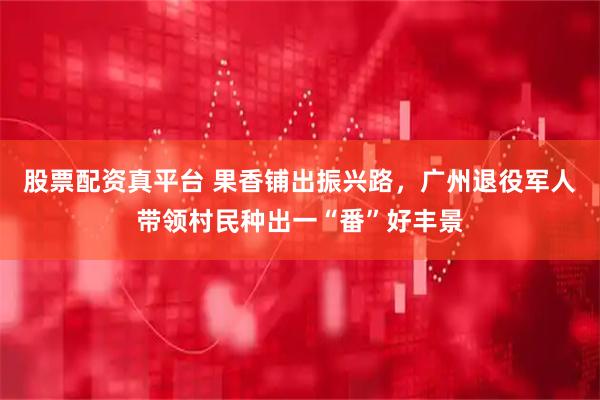 股票配资真平台 果香铺出振兴路，广州退役军人带领村民种出一“番”好丰景