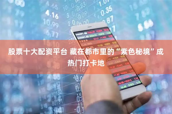 股票十大配资平台 藏在都市里的“紫色秘境”成热门打卡地
