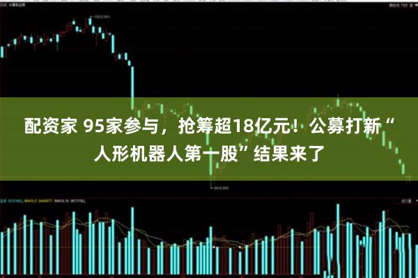 配资家 95家参与，抢筹超18亿元！公募打新“人形机器人第一股”结果来了